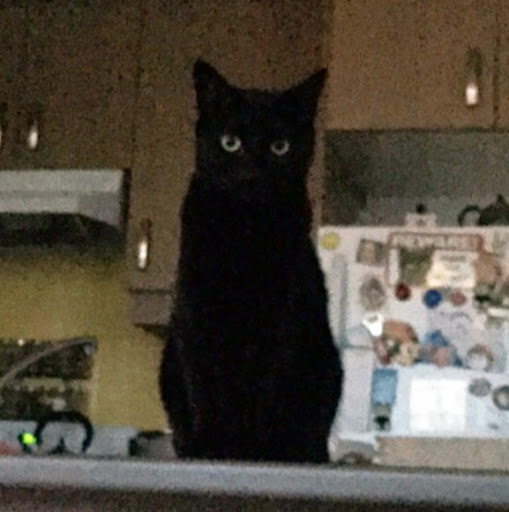 Anne Smyth Photo 23 Anne Smyth Photo 23