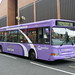 Dennis Cross Photo 11
