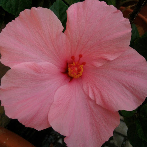 Kristin Heath Photo 14