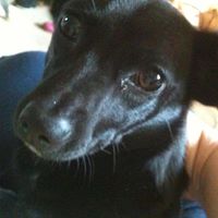 Sharon Ziegler Photo 11