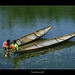 Thai Tran Photo 6