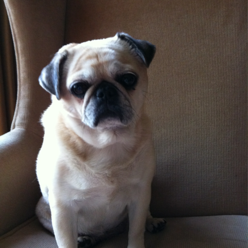 Annette Miles Photo 16