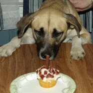 Melissa Hauser Photo 9