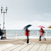 Javier Millan Photo 12