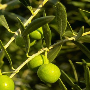 James Makowski Photo 14