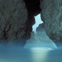 Leroy Robinson Photo 18