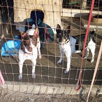 Kathy Tuttle Photo 7