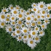 Alyssa Spradlin Photo 8