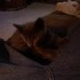 Cindy Hubbard Photo 6