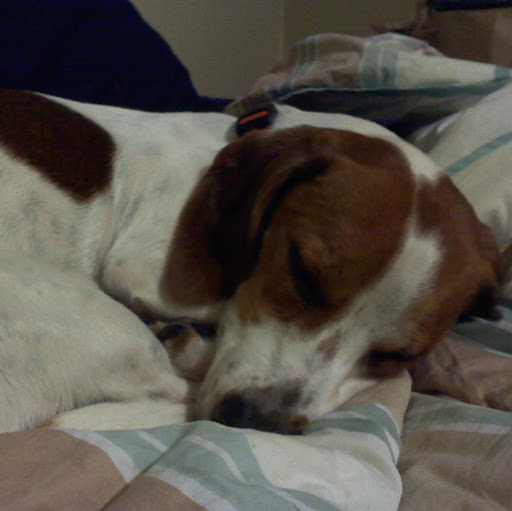 Michele Maxwell Photo 12