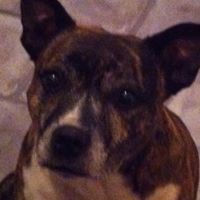 Julie Mcewan Photo 5