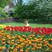 Annie Bloom Photo 8