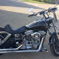 Gretchen Weber Photo 15