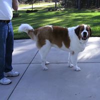 Ruth Rankin Photo 16