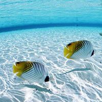 Elizabeth Lay Photo 19