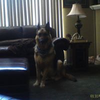 Miranda Erickson Photo 7