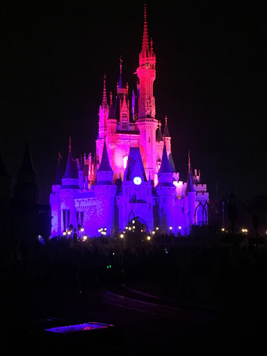 Elizabeth Colston Photo 2