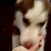 James Vanwinkle Photo 16