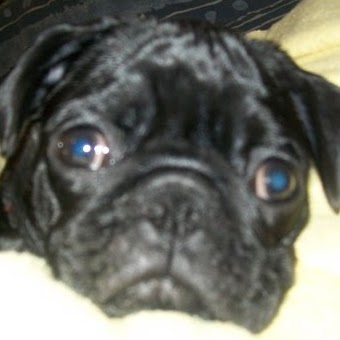 Shannon Jensen Photo 26