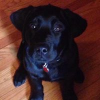 Kathy Ensley Photo 3