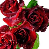 Rose Roy Photo 25