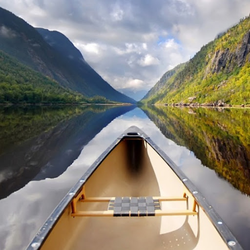 Shawn Wolfe Photo 20