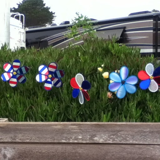 Celestine Ford Photo 3