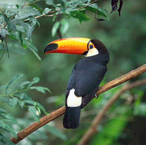 Christopher Serrano Photo 43