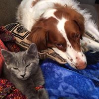 Laura Lockard Photo 15