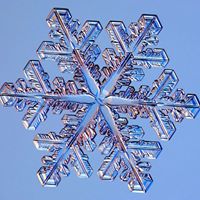 Julie Spring Photo 24