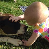 Julia Baird Photo 37