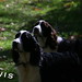 Abigail Sherman Photo 11