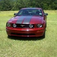 Melissa Cromer Photo 5