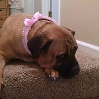 Stephanie Sutton Photo 18 Stephanie Sutton Photo 18