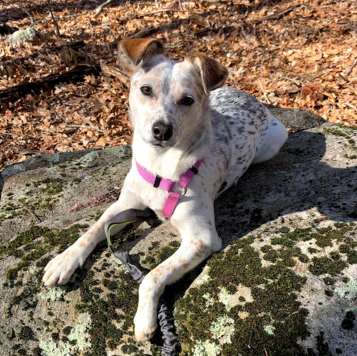 Joel Walters Photo 14 Joel Walters Photo 14