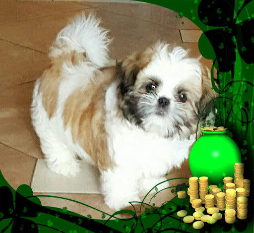 Debbie Dillard Photo 1