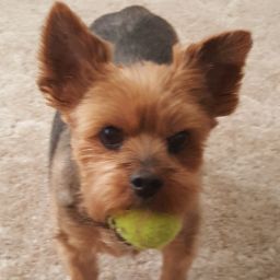 Christine England Photo 19