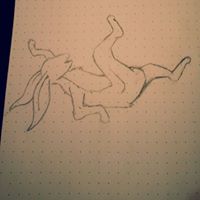 Carlos Padilla Photo 43