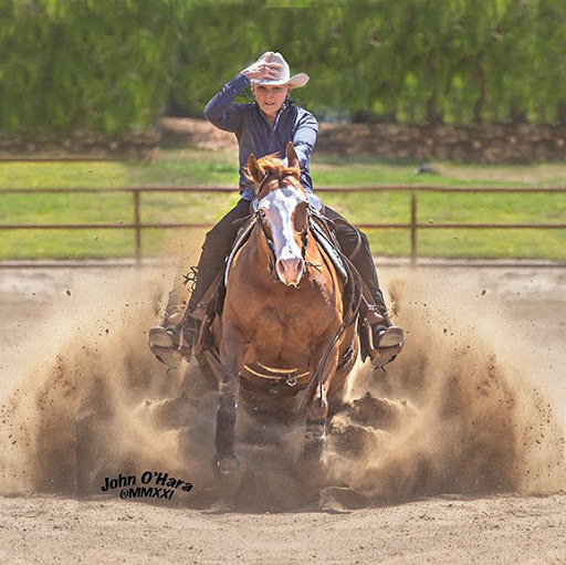 Rhonda Dunlap Photo 6