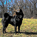 Alyssa Smart Photo 15
