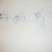 Timothy Fitzgibbon Photo 20