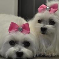 Kathryn Ritchie Photo 29