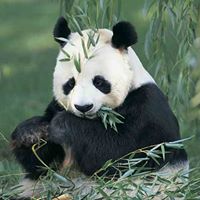 Julia Monroe Photo 38