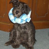 Rodney Helms Photo 16