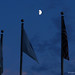 Charles Moon Photo 46