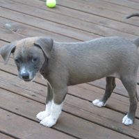 Maxine Crowe Photo 7