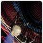 Michael Fay Photo 26