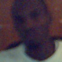 Benjamin Rogers Photo 17