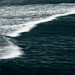 Maxwell Freeman Photo 7