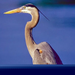 Teresa Bowman Photo 24